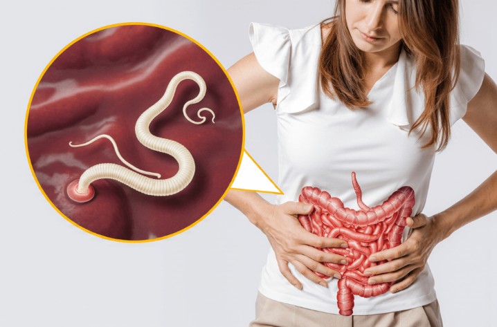 Bawang putih organik